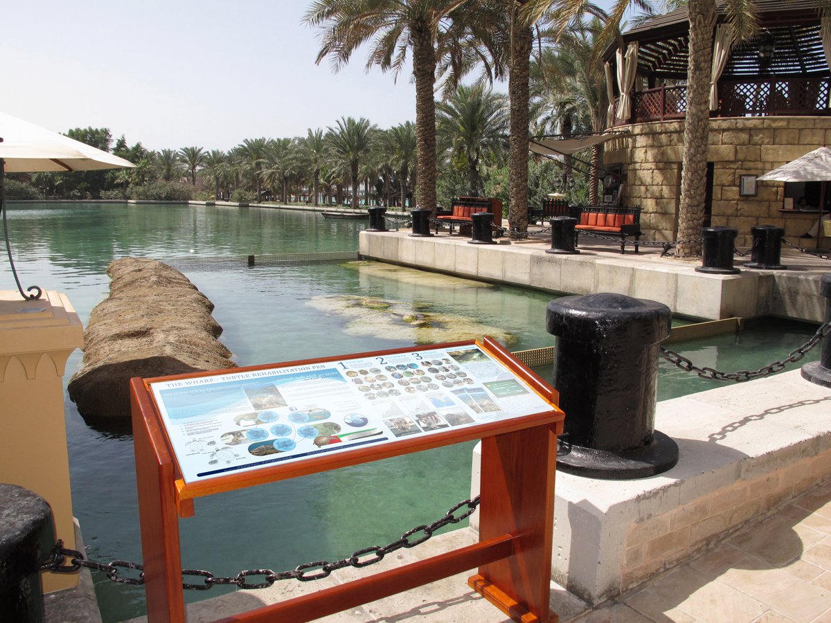 New turtle sanctuary at Mina A'Salam New turtle sanctuary at Mina A'Salam