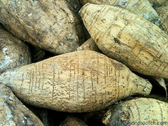 Arrowroot Arrowroot