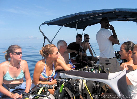 Dive Boat Dive Boat