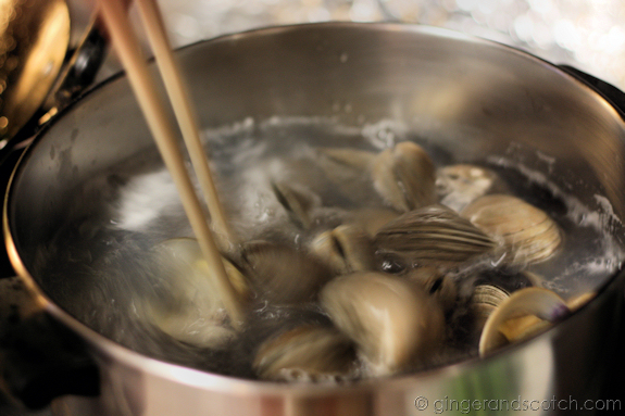 Clams being boiled