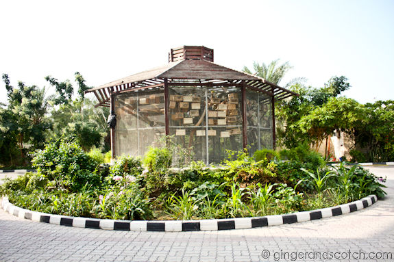 Aviary Aviary