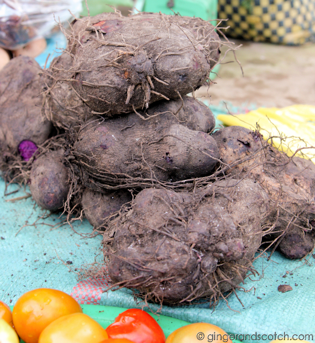 Mekong Purple Sweet Potatoes