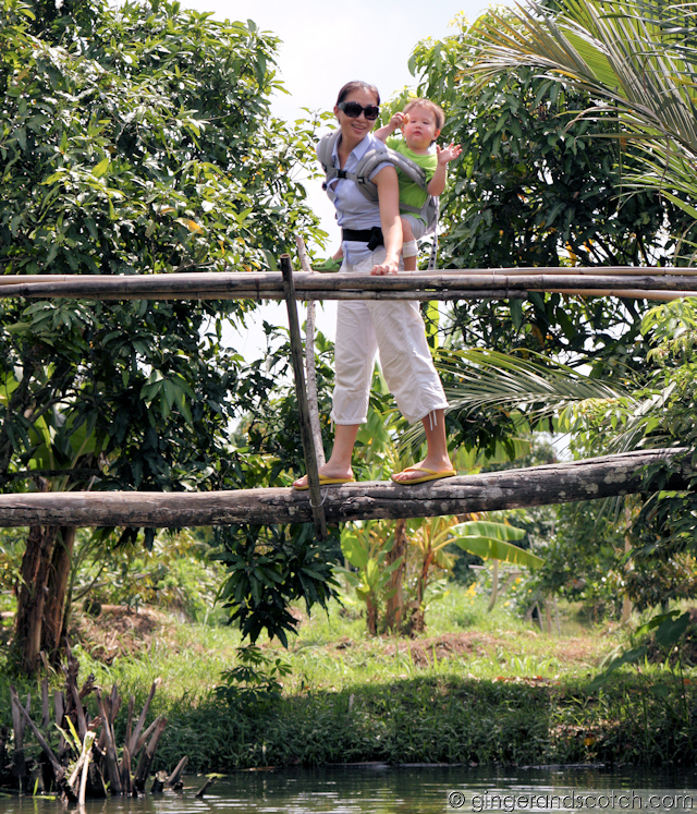 Mekong - Monkey Bridge Mekong - Monkey Bridge