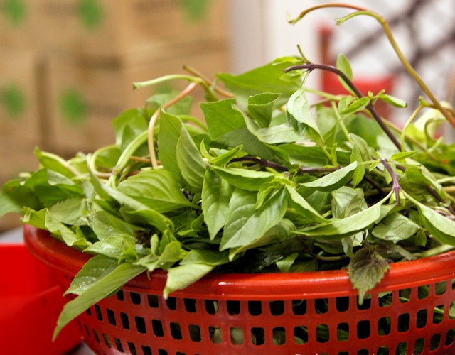 Fresh Herb Basket