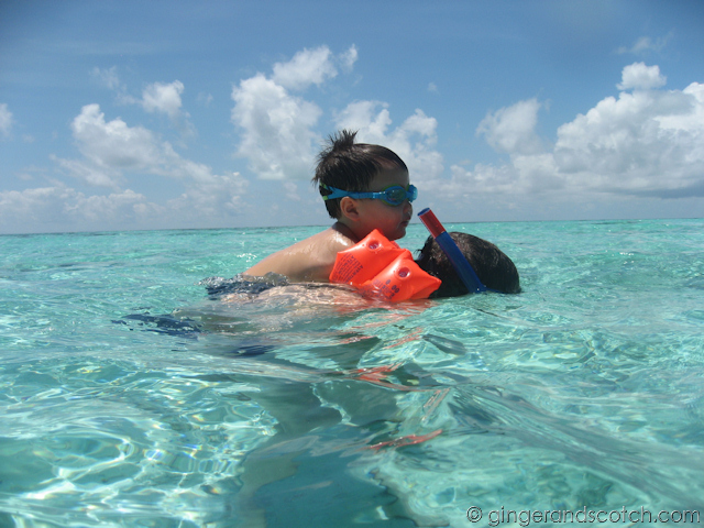 Maldives Snorkeling Maldives Snorkeling