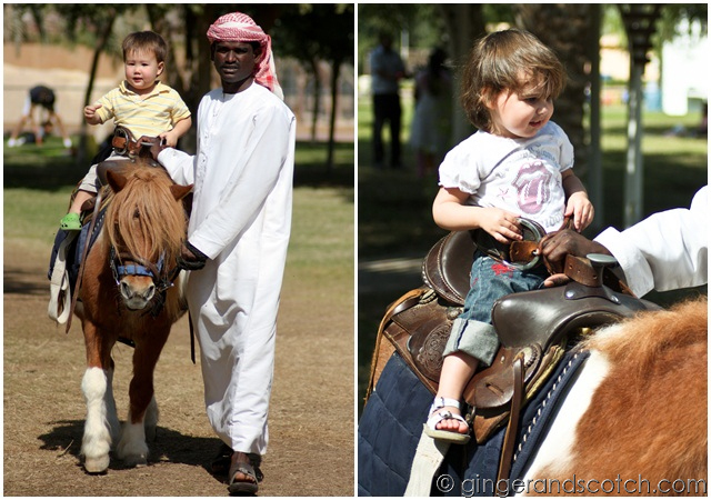 Al Ain Zoo - pony rides Al Ain Zoo - pony rides