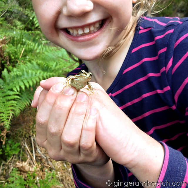 Tiny Frog