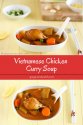 Vietnamese Chicken Curry