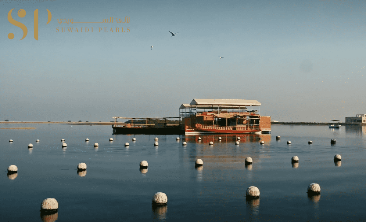 Suwaidi Pearls Farm in RAK, UAE